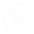 Whatsapp Icon